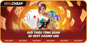 Giới thiệu tổng quan